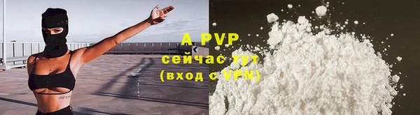 Альфа ПВП Каменка