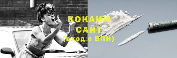 Альфа ПВП Каменка